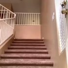 Why he go up the stairs like that