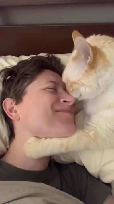 Let me love you