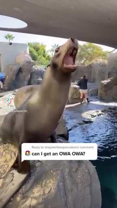 AAAAAAAAHH