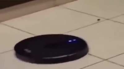 Top 10 Anime battles