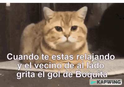 Vamos Bocaaaa!