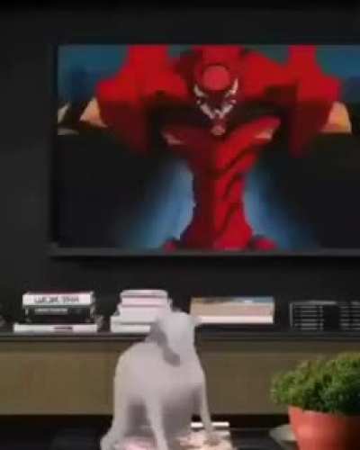 SquarePosting - Video #3725