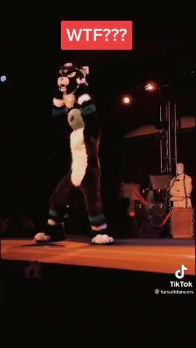 Had this furry video pop up on my fyp and I’m fucking gonna die 😂