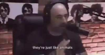 🗿