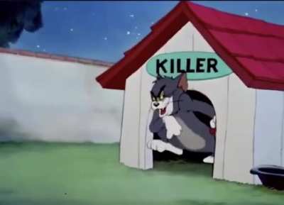 Jumping on dbd at night to unleash a days worth of stress on some unsuspecting survivors