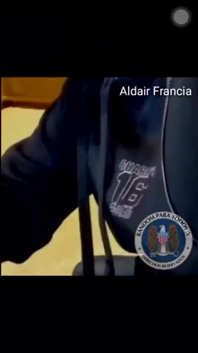 É uma cilada Bino