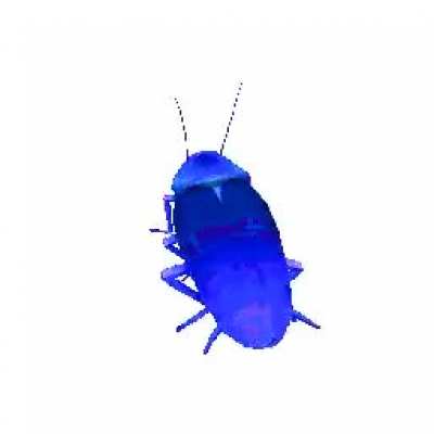 My Bröthërs wë ärë gäining mörë Bröthërs by thë sëcönd sprëäd öur mëssägë änd gäin mörë Bröthërs.