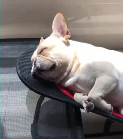 Happy spot.