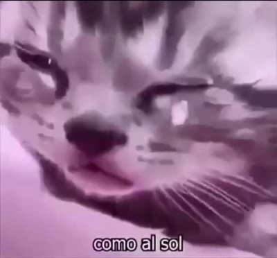😞