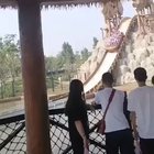 Found this on r/yesyesyesyesno