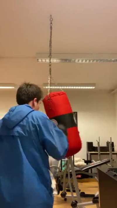 average ufc fan