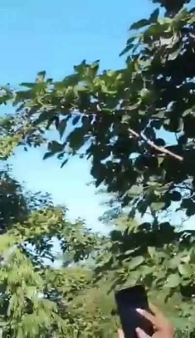 Militants in manipur launch rocket towards indian army positions