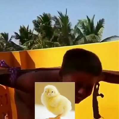 Top crueldad Humana