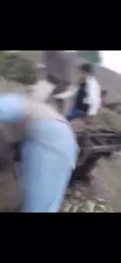 Guy tries to break up dogs fighting but went for a spin on a driveshaft instead
