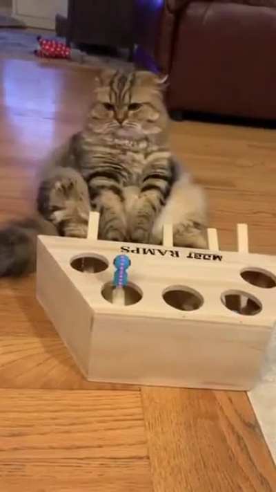 Чёт устал