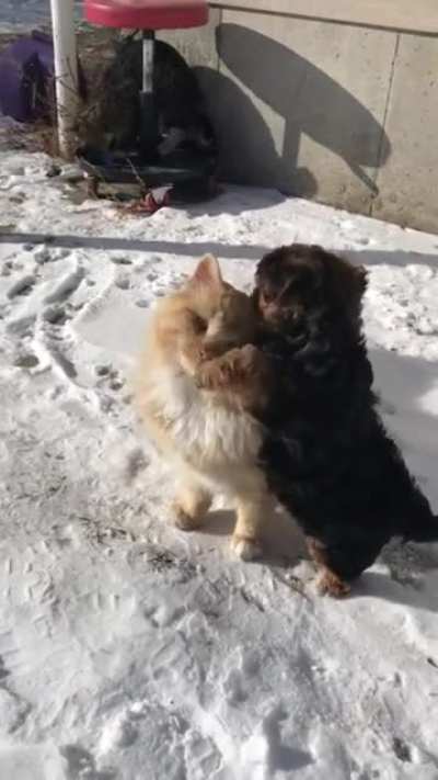 Doggy love