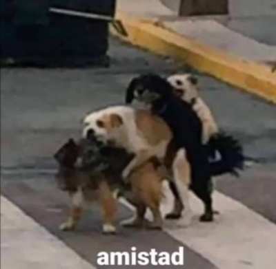 amistad 😍