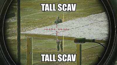 T A L L S C A V