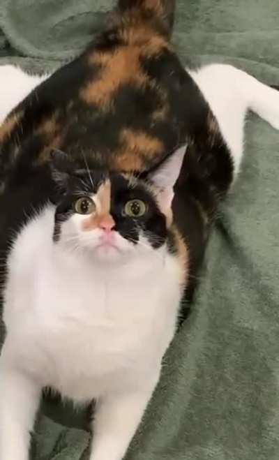 That look though