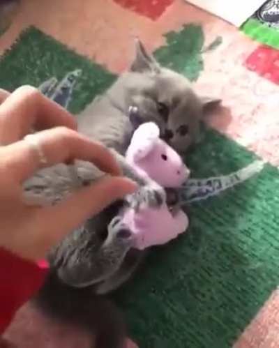 Friends forever....
