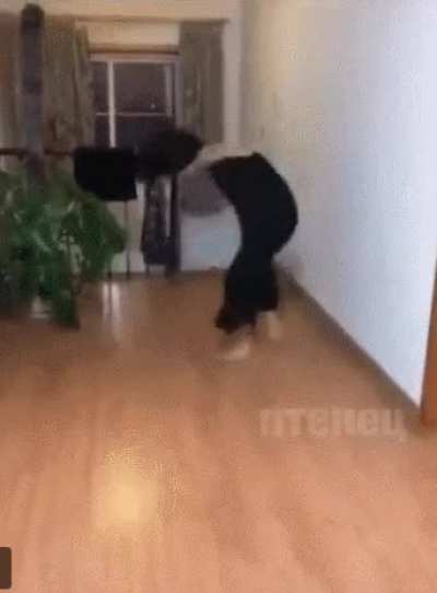 just normal dancer