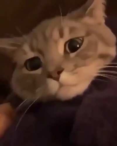 Awwww