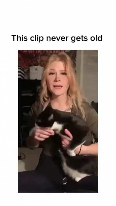 Chunky Dave steals the internet