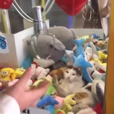 How to always win at Claw Machines