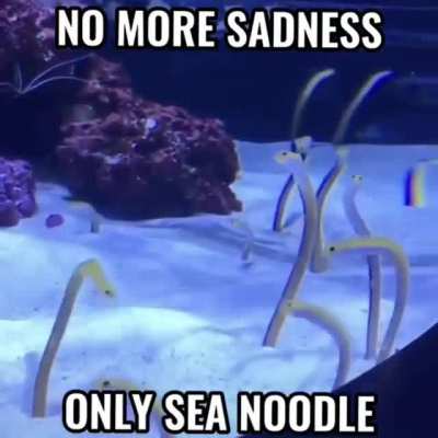 No more