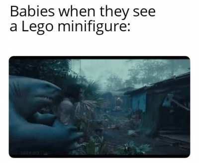 Nom Nom