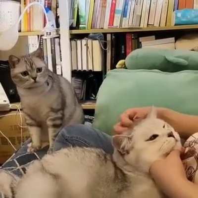 Betrayal