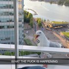 Government drones have detected an intruder.