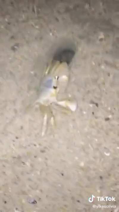 Spook