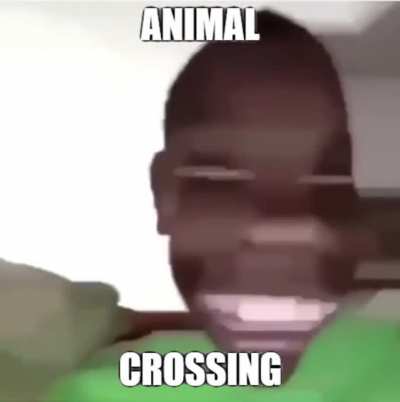 boopity bapity