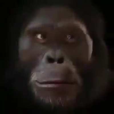 Monke time