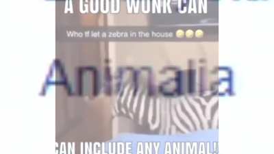 The wunky truth