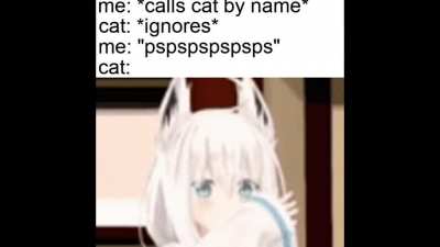 alien cattofoxu