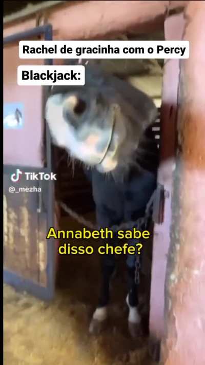 EU CONSIGO MUITO VER ESSA CENA ACONTECENDO KKKKKKKKKKKK Crédito: IG - @percyjackson_cade.meu.satiro