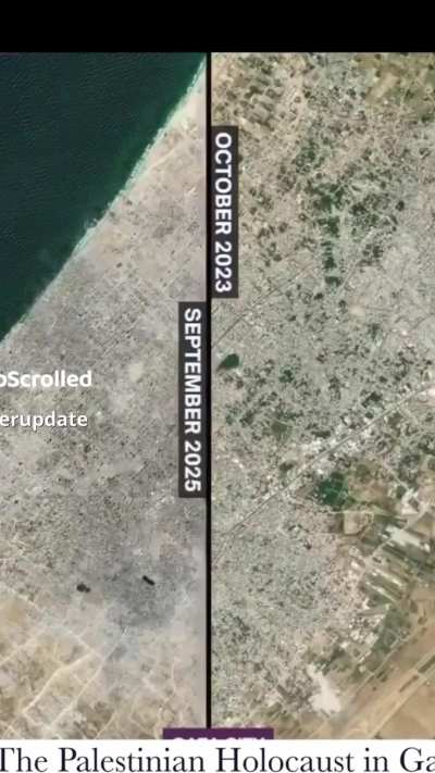 Truth Will Out … The Palestinian Holocaust REVEALED but it is antisemitic if you notice.