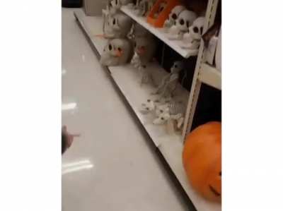Puppies!