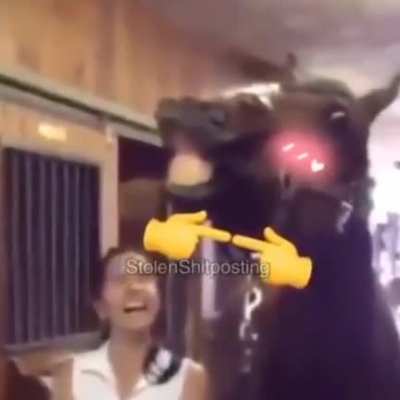 alerta de fofura