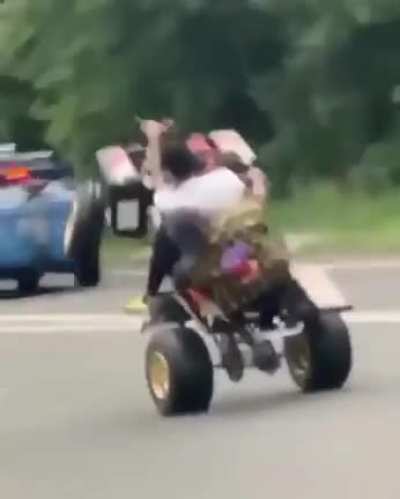Uzi Hanging on the Back of his New Banshee 😂😂