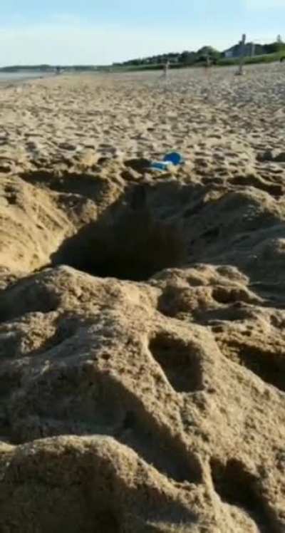 We called it The Big-Ass Hole