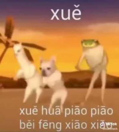 Bts depois de parar a live do oroki:
