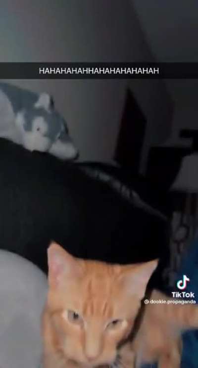 Gack-