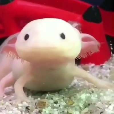 When you're the only one in the combat to roll low on inititive