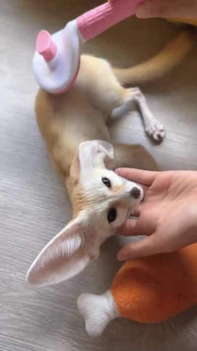 Spa day