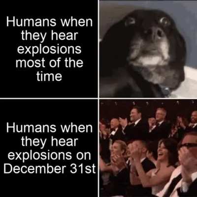 Humans are strange