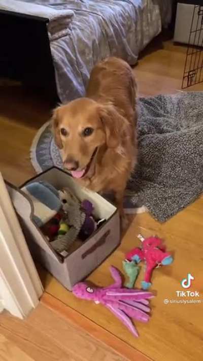 Sirius’ learned tricks