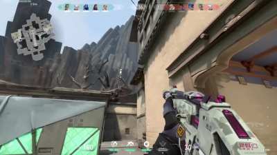 what out aiming the entire team looks like